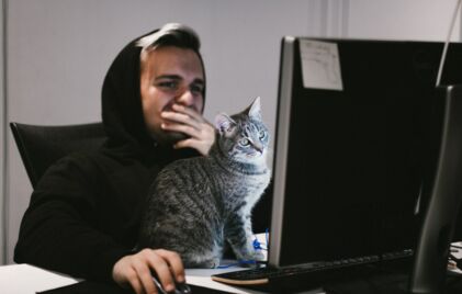 Katze schaut auf den Bildschirm, während ein Mann am Computer arbeitet.